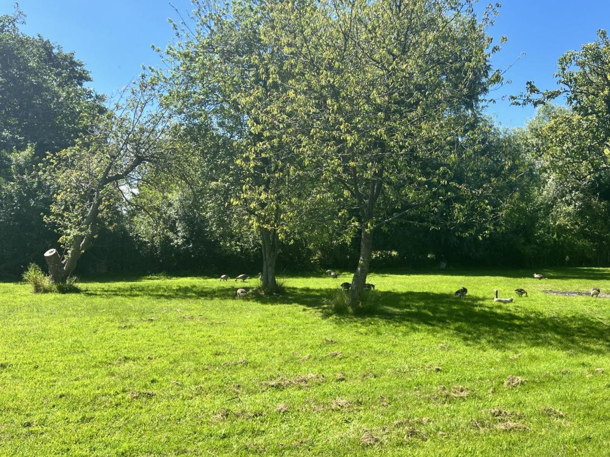 Adorable Two Bed Norfolk Broads Holiday Home - River Views With Moorings & Fishing Stalham Exteriör bild