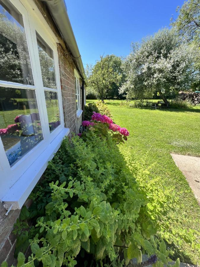 Adorable Two Bed Norfolk Broads Holiday Home - River Views With Moorings & Fishing Stalham Exteriör bild