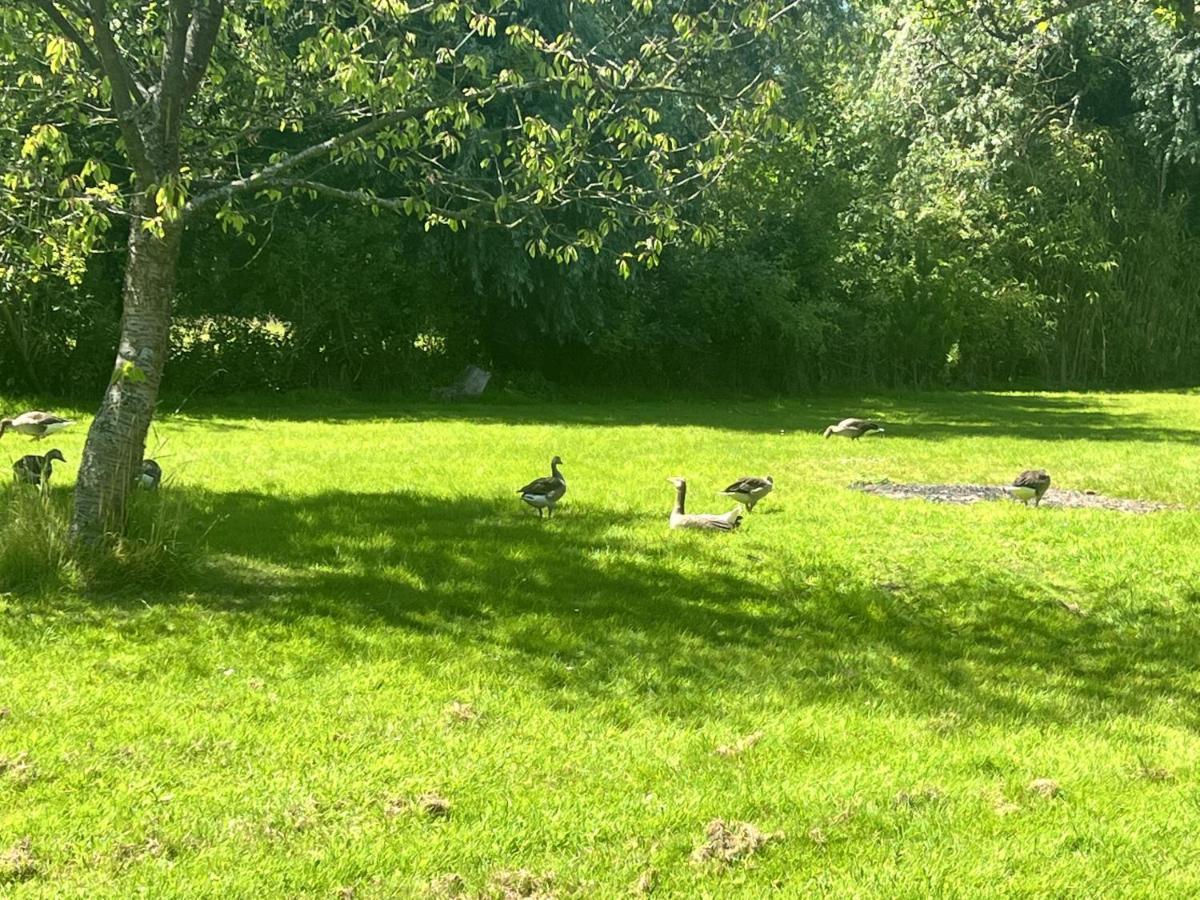 Adorable Two Bed Norfolk Broads Holiday Home - River Views With Moorings & Fishing Stalham Exteriör bild